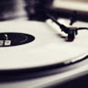 Meet your Posher, Dylana